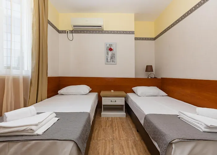 Favorit ساني بيتش